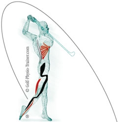 Logo Golf-Physiotherapeut